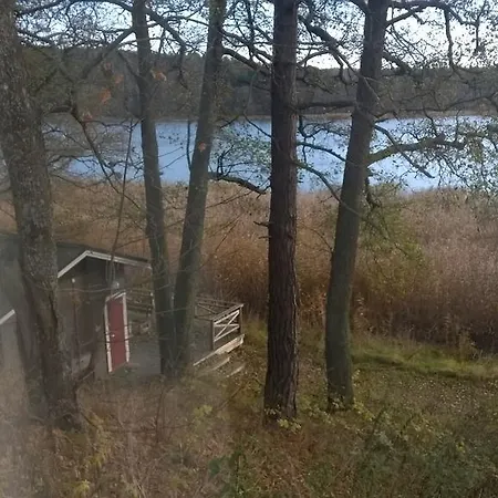 Vuohensaari